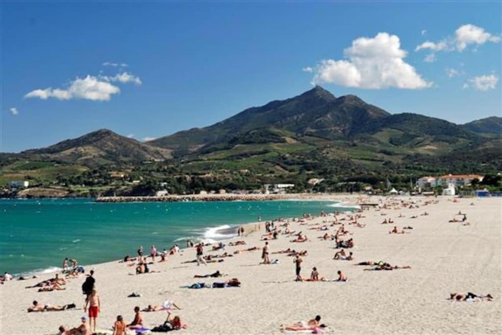 Studio/F1Bis A 50 M De La Plage Argelès-sur-Mer Kültér fotó