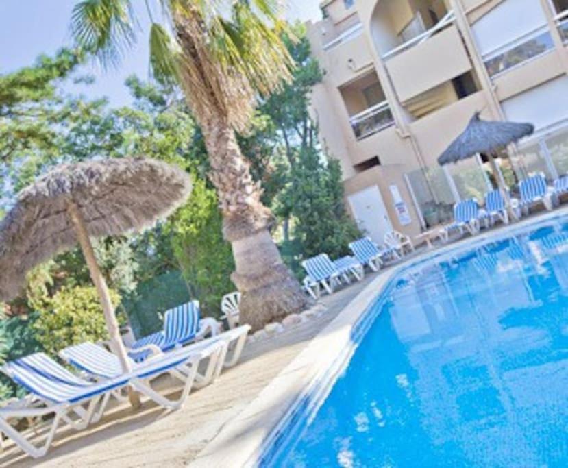 Studio/F1Bis A 50 M De La Plage Argelès-sur-Mer Kültér fotó