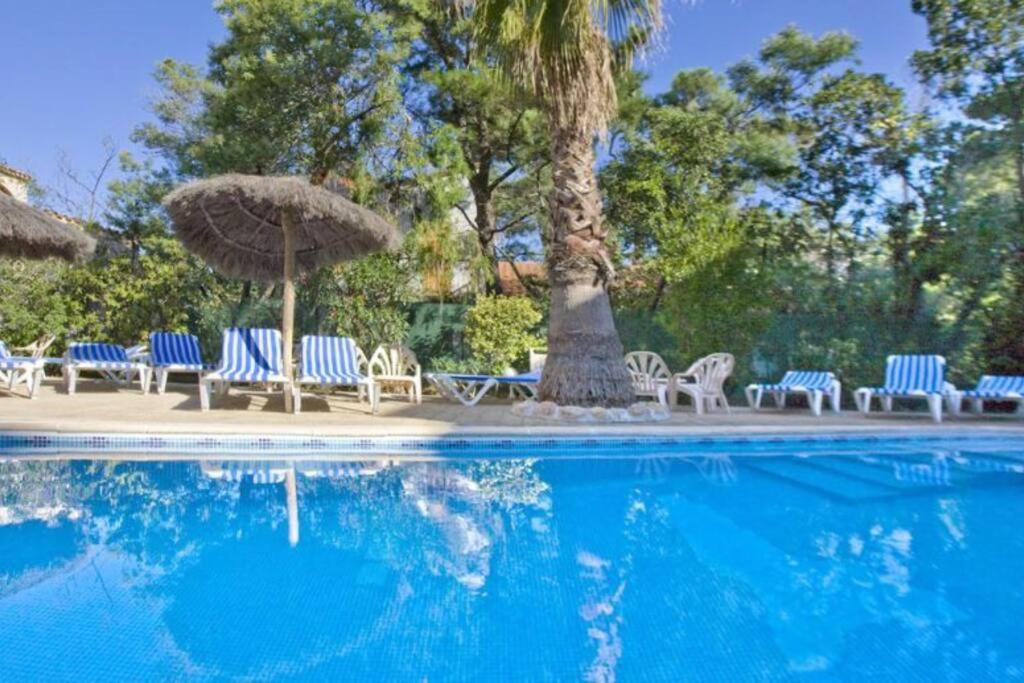 Studio/F1Bis A 50 M De La Plage Argelès-sur-Mer Kültér fotó